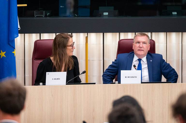 LIBE - Democracy, Rule of Law and Fundamental Rights Monitoring Group (DRFMG) meeting