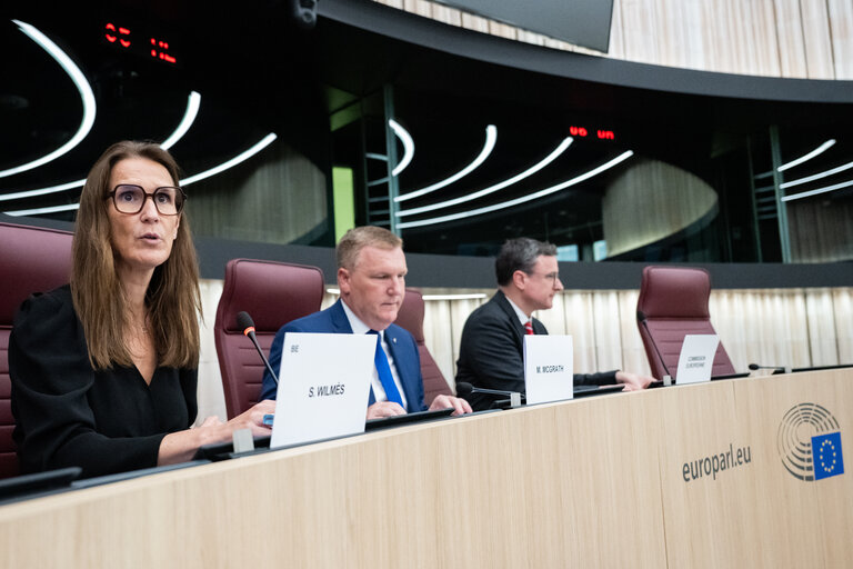 LIBE - Democracy, Rule of Law and Fundamental Rights Monitoring Group (DRFMG) meeting