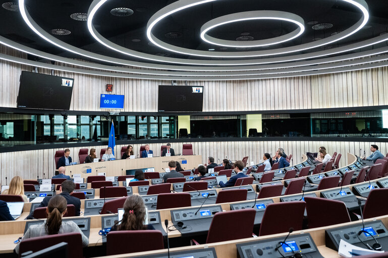 LIBE - Democracy, Rule of Law and Fundamental Rights Monitoring Group (DRFMG) meeting