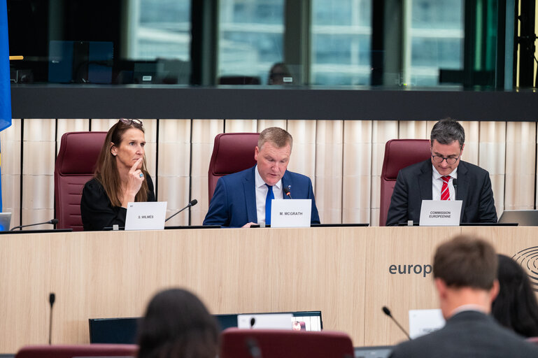 LIBE - Democracy, Rule of Law and Fundamental Rights Monitoring Group (DRFMG) meeting