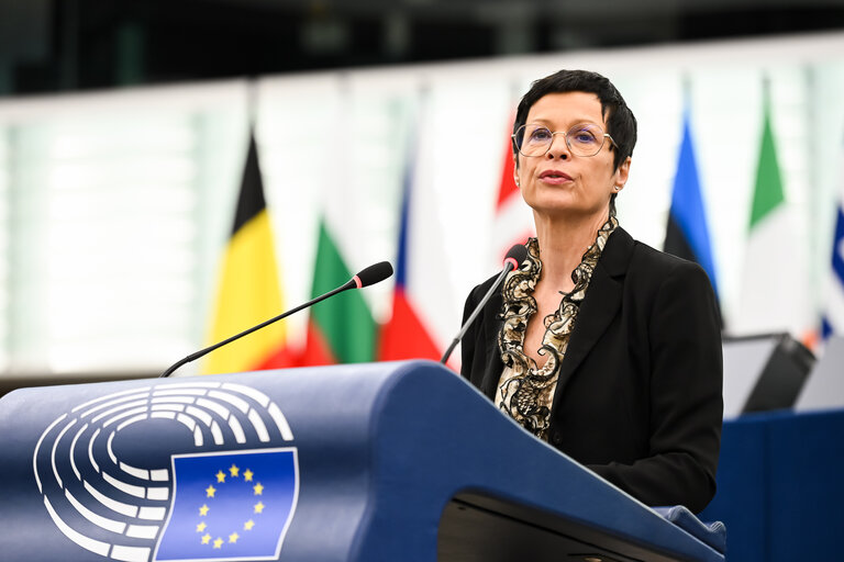 EP Plenary session - 2023 and 2024 reports on Bosnia and Herzegovina