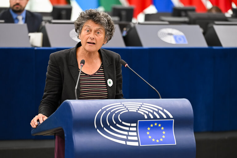 EP Plenary session - 2023 and 2024 reports on Bosnia and Herzegovina