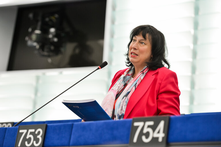 EP Plenary session.- 2023 and 2024 reports on North Macedonia