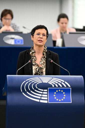 EP Plenary session - 2023 and 2024 reports on Georgia