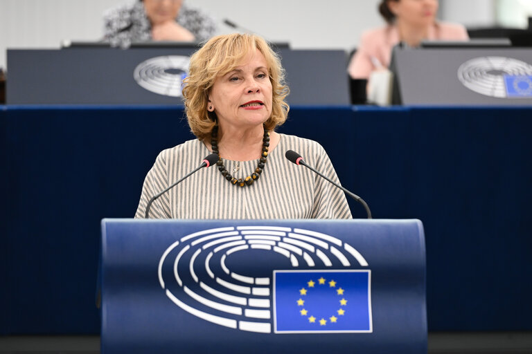 EP Plenary session - 2023 and 2024 reports on Georgia