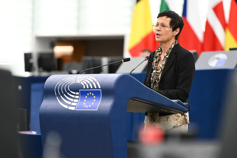 EP Plenary session - 2023 and 2024 reports on Georgia