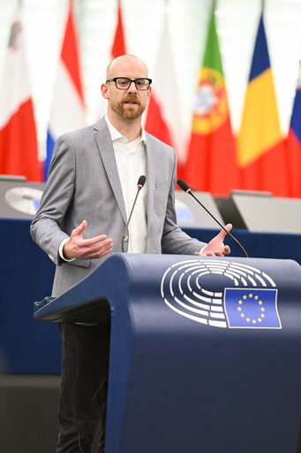 EP Plenary session - 2023 and 2024 reports on Georgia
