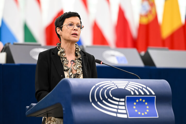 EP Plenary session - 2023 and 2024 reports on Georgia