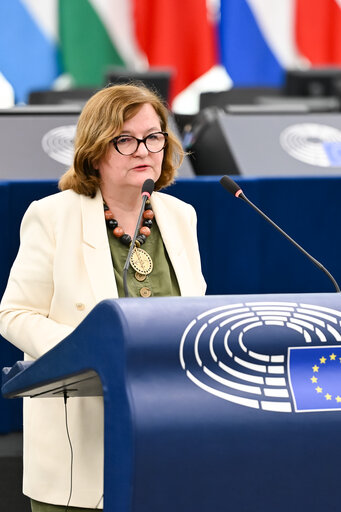 EP Plenary session - 2023 and 2024 reports on Georgia