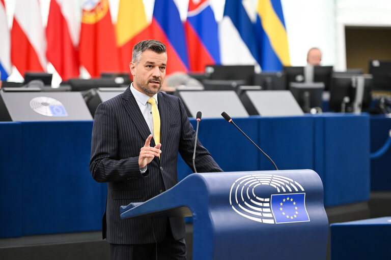 EP Plenary session - 2023 and 2024 reports on Georgia