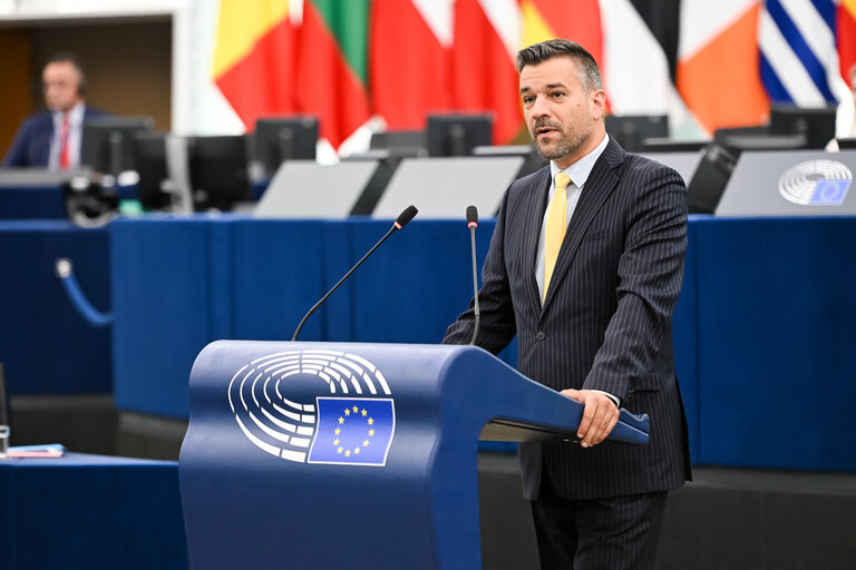EP Plenary session - 2023 and 2024 reports on Georgia