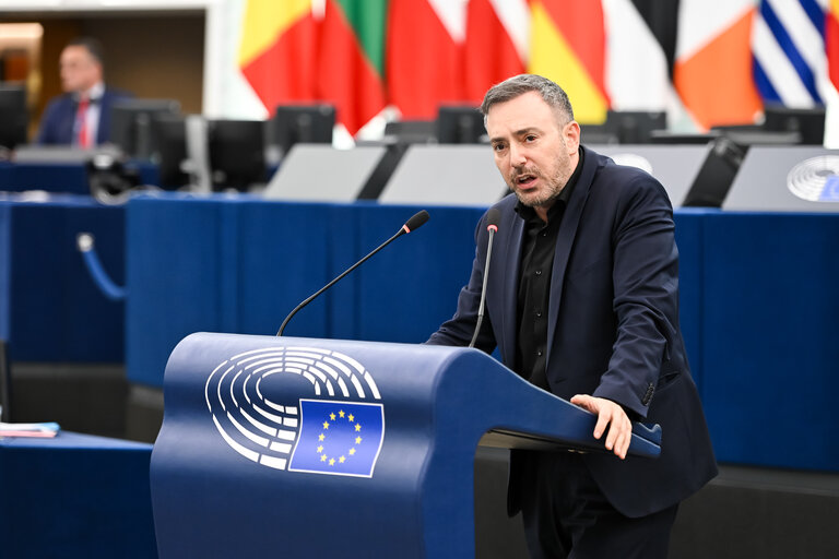 EP Plenary session - 2023 and 2024 reports on Georgia
