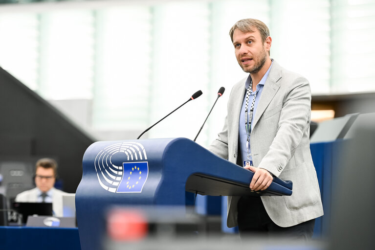 EP Plenary session - 2023 and 2024 reports on Georgia
