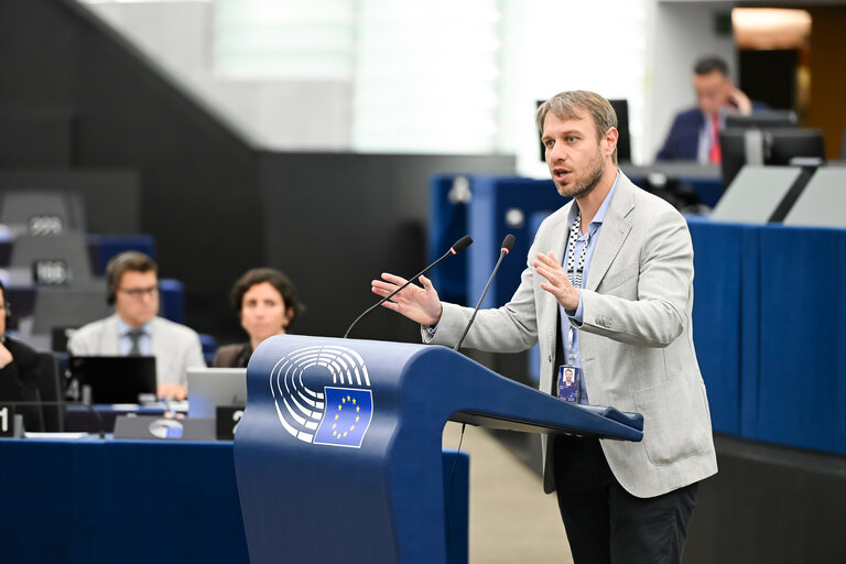 EP Plenary session - 2023 and 2024 reports on Georgia