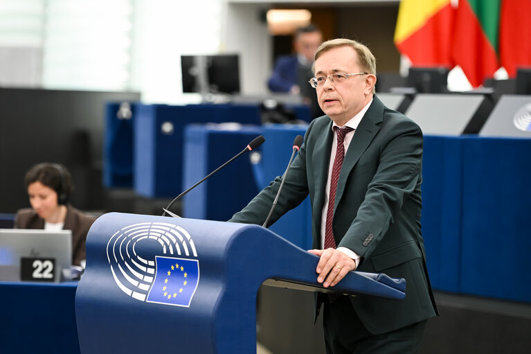 EP Plenary session - 2023 and 2024 reports on Georgia