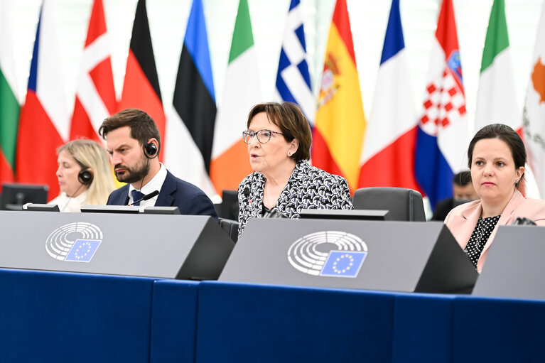 EP Plenary session - 2023 and 2024 reports on Georgia