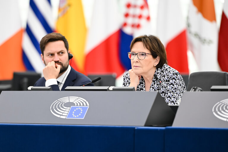 EP Plenary session - 2023 and 2024 reports on Georgia