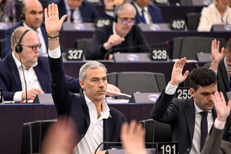 EP Plenary session - Voting session