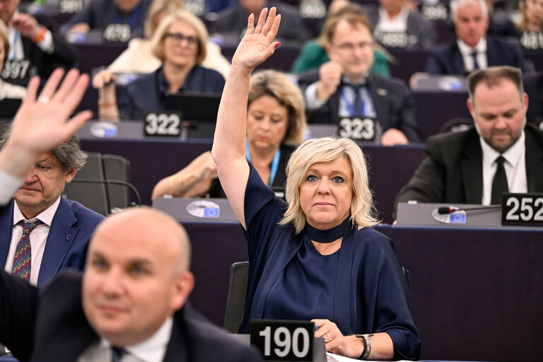 EP Plenary session - Voting session