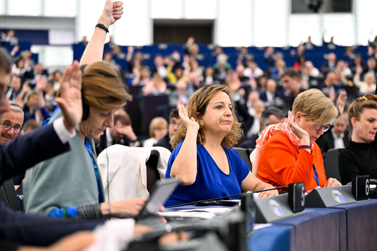 EP Plenary session - Voting session