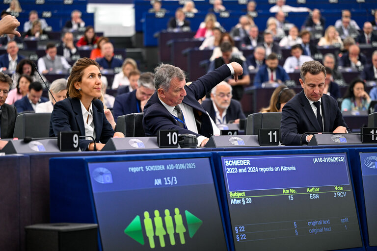 EP Plenary session - Voting session