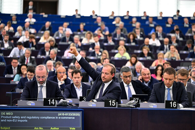 EP Plenary session - Voting session