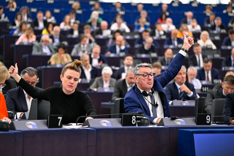 EP Plenary session - Voting session