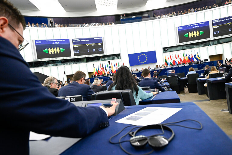 EP Plenary session - Voting session