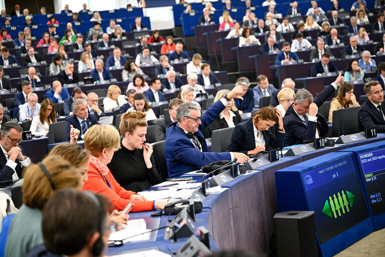 EP Plenary session - Voting session