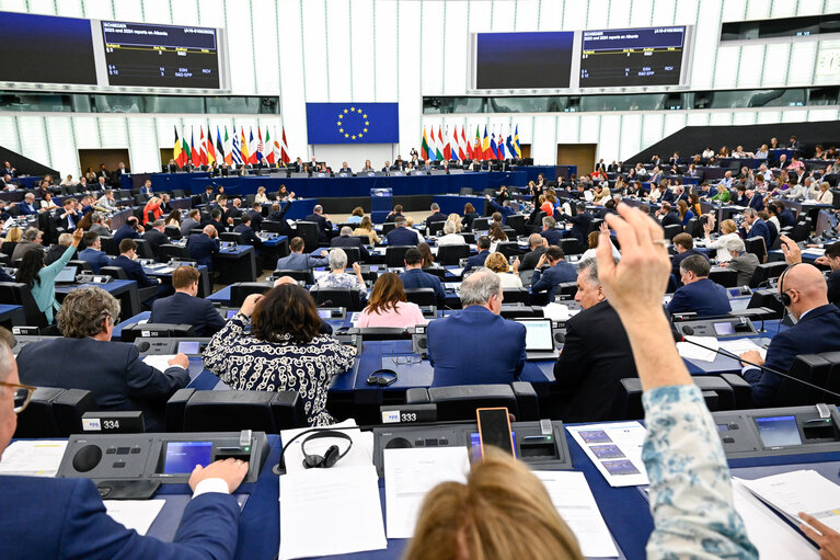 EP Plenary session - Voting session