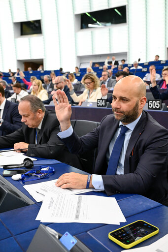 EP Plenary session - Voting session