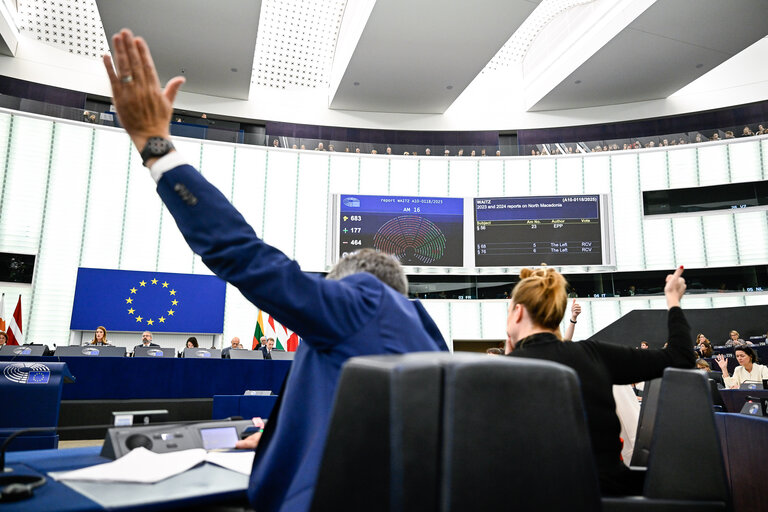 EP Plenary session - Voting session