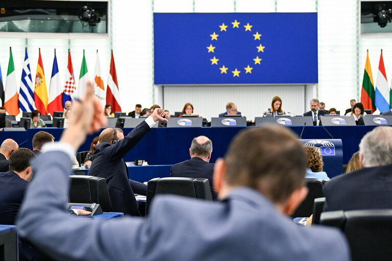 EP Plenary session - Voting session