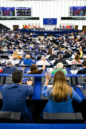 EP Plenary session - Voting session