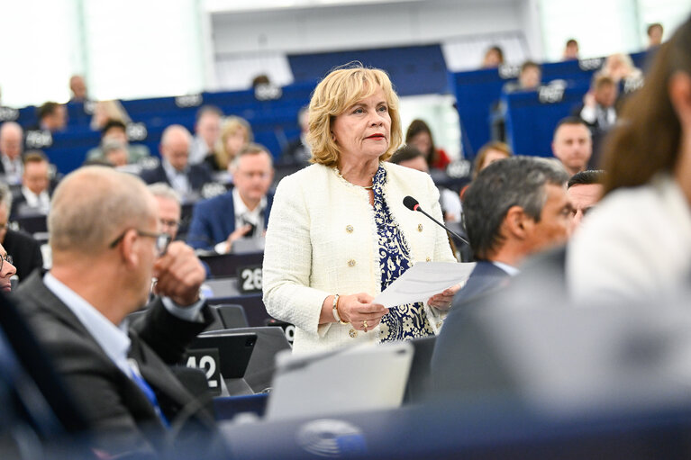 EP Plenary session - Voting session