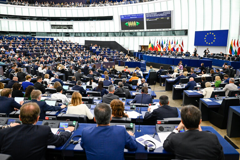 EP Plenary session - Voting session