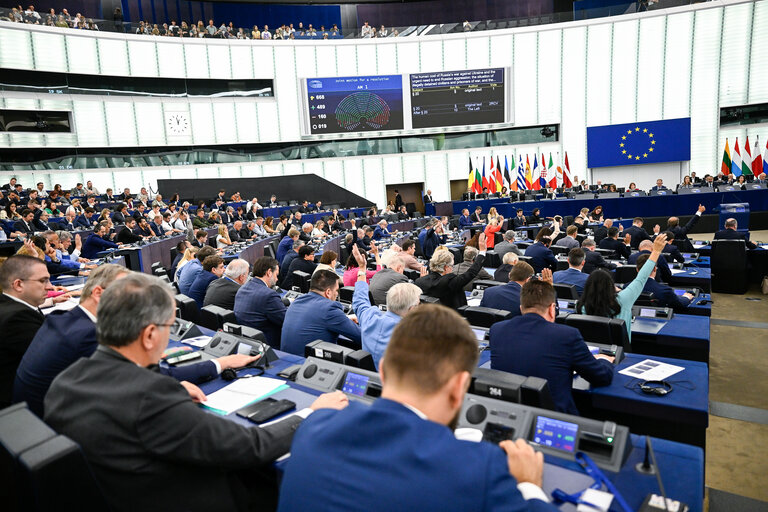 EP Plenary session - Voting session
