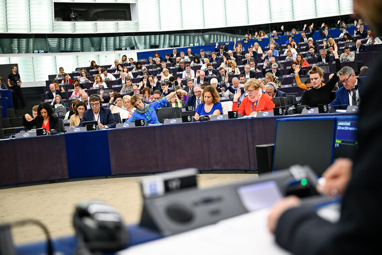 EP Plenary session - Voting session