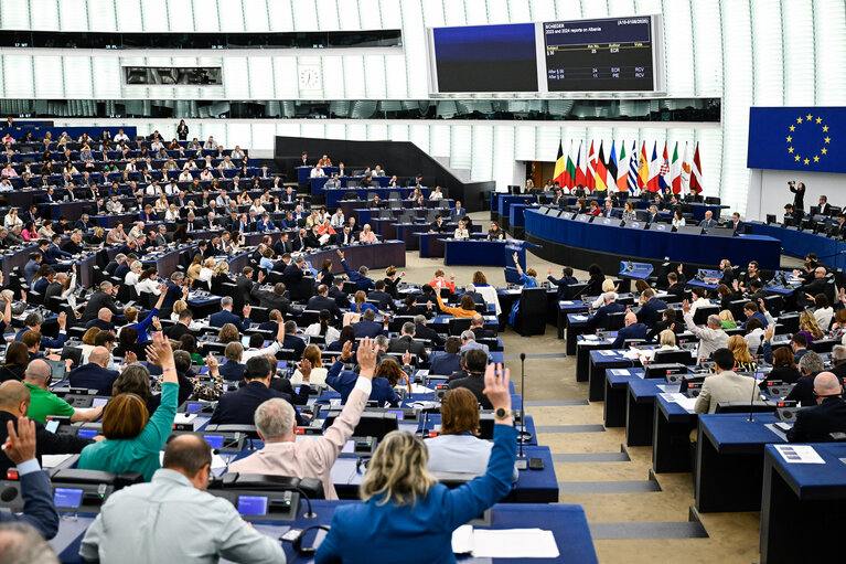 EP Plenary session - Voting session