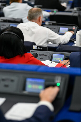 EP Plenary session - Voting session