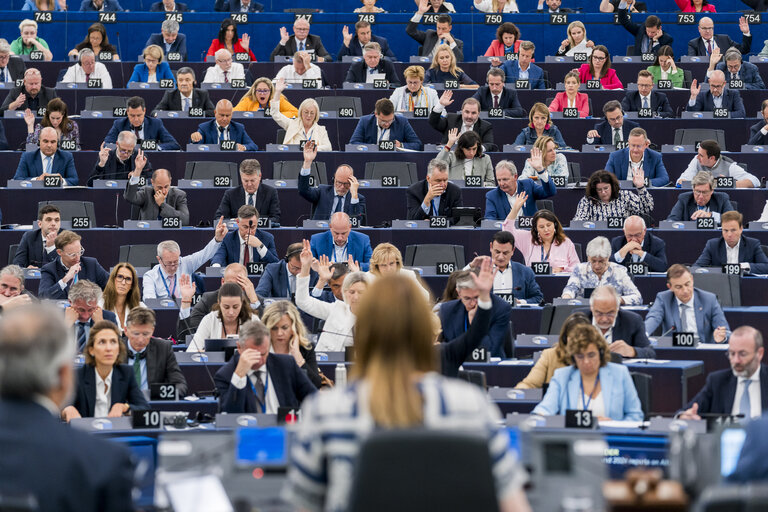 EP Plenary session - Voting session