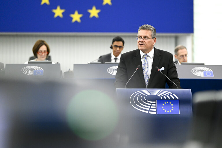 EP Plenary session - EU-US trade negotiations