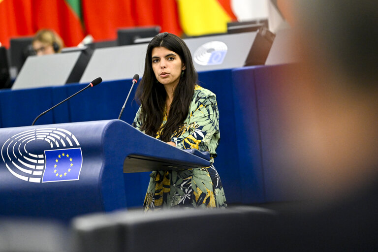 EP Plenary session - EU-US trade negotiations