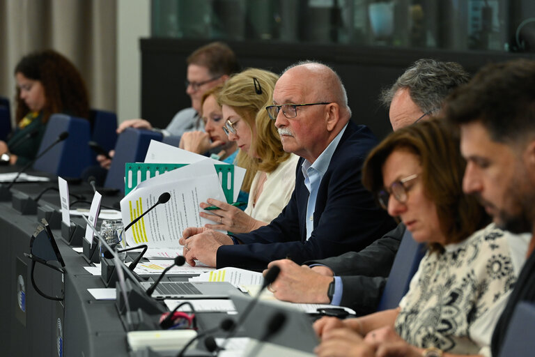 Meeting of the Delegation for Relations with South Africa (D-ZA)