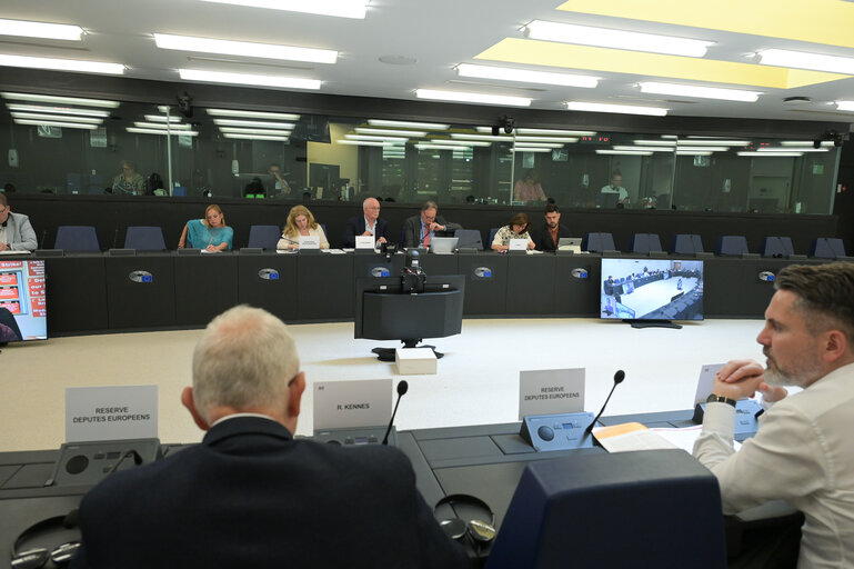 Meeting of the Delegation for Relations with South Africa (D-ZA)