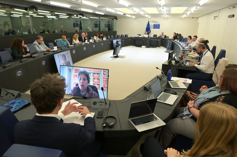 Meeting of the Delegation for Relations with South Africa (D-ZA)