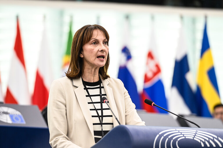EP Plenary session - EU Preparedness Union in light of the upcoming wildfire season