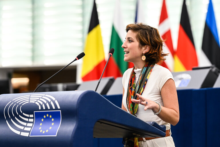 EP Plenary session - EU Preparedness Union in light of the upcoming wildfire season