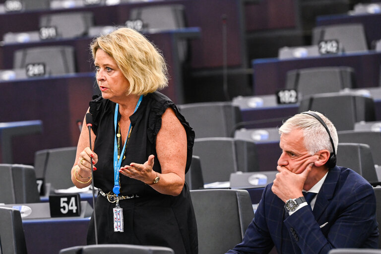 EP Plenary session - EU Preparedness Union in light of the upcoming wildfire season