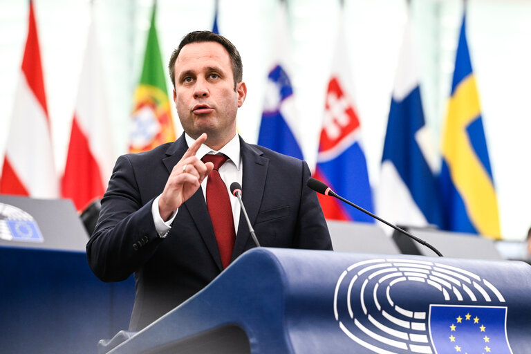 EP Plenary session - EU Preparedness Union in light of the upcoming wildfire season